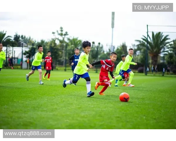 刘军独家分享足球心得与技巧解析助你提升球技与战术理解