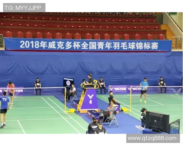 上海羽毛球队逆袭之旅的背后故事与奋斗精神探秘